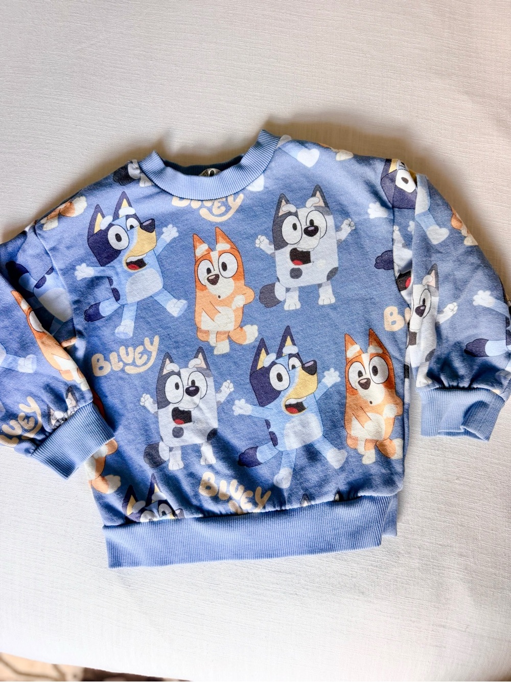 Bluey H&M crew neck sweatshirt barely worn Still Soft! Size 3-4T